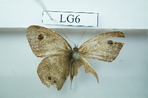  ( - UMKL-JSSW-LG6)  @12 [ ] Unspecified (default): All Rights Reserved  Unspecified Unspecified