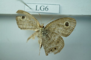  ( - UMKL-JSSW-LG6)  @12 [ ] Unspecified (default): All Rights Reserved  Unspecified Unspecified