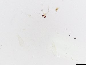  ( - JSDNP013)  @12 [ ] Unspecified (default): All Rights Reserved (2016) Jedsada Sukantamala Naresuan University