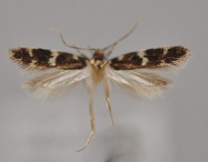  ( - MM28066)  @11 [ ] by-nc (2023) Jari Junnilainen Unspecified