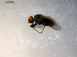  ( - 10PROBE-10160)  @13 [ ] CreativeCommons - Attribution (2011) CBG Photography Group Centre for Biodiversity Genomics