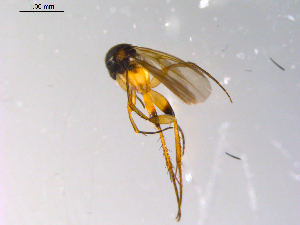  ( - 10PROBE-10418)  @12 [ ] CreativeCommons - Attribution (2011) CBG Photography Group Centre for Biodiversity Genomics