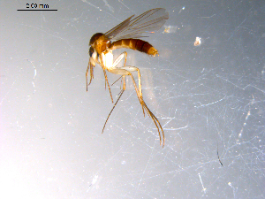  ( - 10PROBE-11492)  @12 [ ] CreativeCommons - Attribution (2011) CBG Photography Group Centre for Biodiversity Genomics