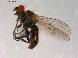  ( - 10PROBE-13891)  @13 [ ] CreativeCommons - Attribution (2011) CBG Photography Group Centre for Biodiversity Genomics