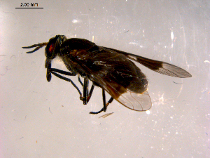  ( - 10PROBE-14338)  @12 [ ] CreativeCommons - Attribution (2011) CBG Photography Group Centre for Biodiversity Genomics