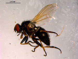  ( - 10PROBE-14659)  @13 [ ] CreativeCommons - Attribution (2011) CBG Photography Group Centre for Biodiversity Genomics