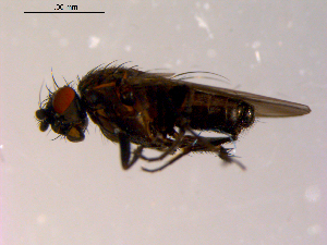  ( - 10PROBE-14675)  @12 [ ] CreativeCommons - Attribution (2011) CBG Photography Group Centre for Biodiversity Genomics