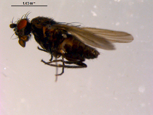  ( - 10PROBE-14679)  @12 [ ] CreativeCommons - Attribution (2011) CBG Photography Group Centre for Biodiversity Genomics