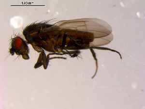  ( - 10PROBE-14683)  @12 [ ] CreativeCommons - Attribution (2011) CBG Photography Group Centre for Biodiversity Genomics