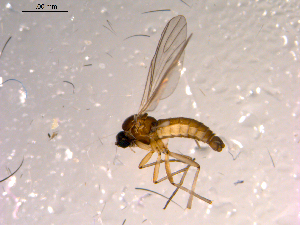  ( - 10PROBE-14850)  @12 [ ] CreativeCommons - Attribution (2011) CBG Photography Group Centre for Biodiversity Genomics