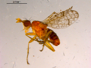  ( - 10PROBE-15759)  @12 [ ] CreativeCommons - Attribution (2011) CBG Photography Group Centre for Biodiversity Genomics