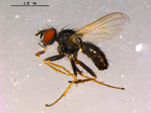  ( - 10PROBE-16021)  @14 [ ] CreativeCommons - Attribution (2011) CBG Photography Group Centre for Biodiversity Genomics