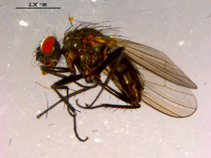  ( - 10PROBE-16143)  @12 [ ] CreativeCommons - Attribution (2011) CBG Photography Group Centre for Biodiversity Genomics