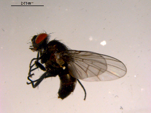  ( - 10PROBE-16622)  @12 [ ] CreativeCommons - Attribution (2011) CBG Photography Group Centre for Biodiversity Genomics
