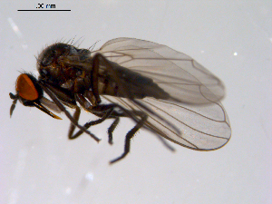  ( - 10PROBE-11363)  @12 [ ] CreativeCommons - Attribution (2011) CBG Photography Group Centre for Biodiversity Genomics