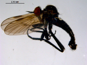  ( - 10PROBE-11371)  @12 [ ] CreativeCommons - Attribution (2011) CBG Photography Group Centre for Biodiversity Genomics