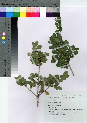  ( - HRS074)  @11 [ ] Copyright (2021) Unspecified Forestry and Forest Products Research Institute