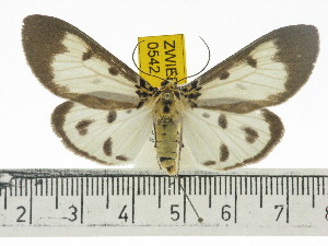 ( - ZWIER DNA 0542)  @14 [ ] Copyright (2010) Jaap Zwier Research Collection of Jaap Zwier