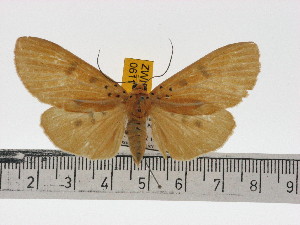  ( - ZWIER DNA 0611)  @11 [ ] Copyright (2010) Jaap Zwier Research Collection of Jaap Zwier