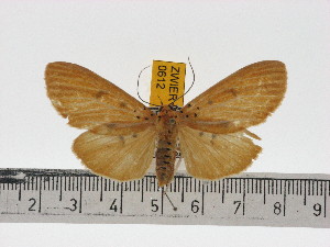  ( - ZWIER DNA 0612)  @11 [ ] Copyright (2010) Jaap Zwier Research Collection of Jaap Zwier