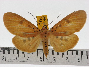  ( - ZWIER DNA 0615)  @11 [ ] Copyright (2010) Jaap Zwier Research Collection of Jaap Zwier