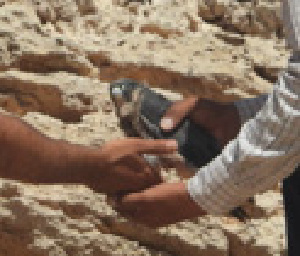  ( - 59233)  @11 [ ] Creative Commons - Attribution (2025) KAUST Beacon Development Unspecified