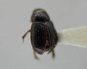  ( - CCDB-34926-B05)  @11 [ ] Unspecified (default): All Rights Reserved  Unspecified Unspecified