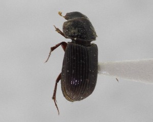  ( - CCDB-34926-H04)  @11 [ ] Unspecified (default): All Rights Reserved  Unspecified Unspecified