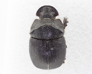  ( - CCDB-34934-A06)  @11 [ ] Unspecified (default): All Rights Reserved  Unspecified Unspecified