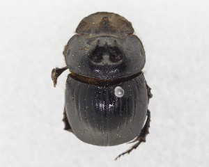  ( - CCDB-34934-A07)  @11 [ ] Unspecified (default): All Rights Reserved  Unspecified Unspecified