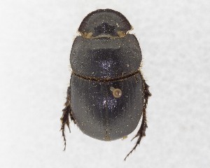  ( - CCDB-34934-B01)  @11 [ ] Unspecified (default): All Rights Reserved  Unspecified Unspecified