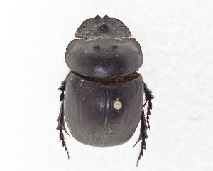  ( - CCDB-34934-B07)  @11 [ ] Unspecified (default): All Rights Reserved  Unspecified Unspecified