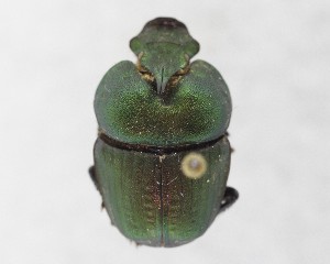  ( - CCDB-34934-D09)  @11 [ ] Unspecified (default): All Rights Reserved  Unspecified Unspecified