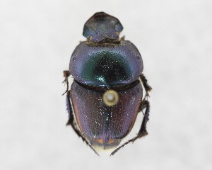  ( - CCDB-34934-D12)  @11 [ ] Unspecified (default): All Rights Reserved  Unspecified Unspecified