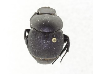  ( - CCDB-34934-F09)  @11 [ ] Unspecified (default): All Rights Reserved  Unspecified Unspecified