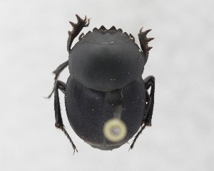  ( - CCDB-34934-F11)  @11 [ ] Unspecified (default): All Rights Reserved  Unspecified Unspecified