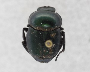  ( - CCDB-34934-G02)  @11 [ ] Unspecified (default): All Rights Reserved  Unspecified Unspecified