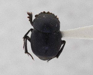  ( - CCDB-34934-G04)  @11 [ ] Unspecified (default): All Rights Reserved  Unspecified Unspecified