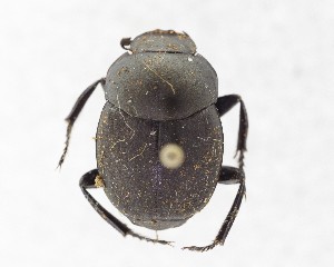  ( - CCDB-34934-G08)  @11 [ ] Unspecified (default): All Rights Reserved  Unspecified Unspecified