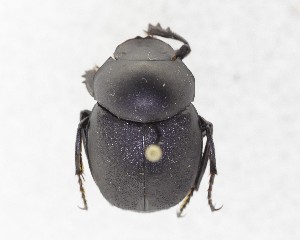  ( - CCDB-34934-H01)  @11 [ ] Unspecified (default): All Rights Reserved  Unspecified Unspecified