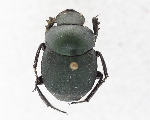  ( - CCDB-34934-H02)  @11 [ ] Unspecified (default): All Rights Reserved  Unspecified Unspecified