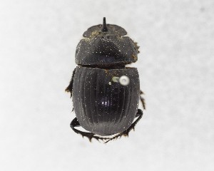  ( - CCDB-34934-H07)  @11 [ ] Unspecified (default): All Rights Reserved  Unspecified Unspecified