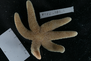  ( - PTK6_108.5_dup)  @11 [ ] Unspecified (default): All Rights Reserved  Unspecified Unspecified