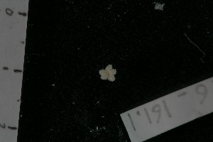  ( - PTK6_161.1_dup)  @12 [ ] Unspecified (default): All Rights Reserved  Unspecified Unspecified