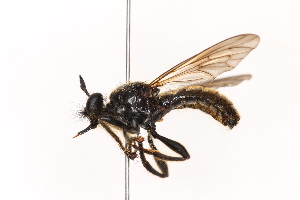  ( - KFUDip01753)  @11 [ ] Copyright (c) (2025) Heimburg H Unspecified