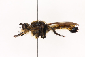  ( - KFUDip01758)  @11 [ ] Copyright (c) (2025) Heimburg H Unspecified