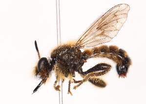  ( - KFUDip02017)  @11 [ ] Copyright (c) (2025) Heimburg H Unspecified