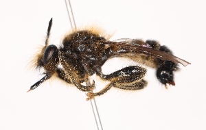  ( - KFUDip02018)  @11 [ ] Copyright (c) (2025) Heimburg H Unspecified