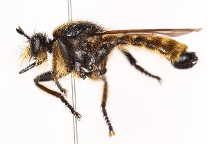  ( - KFUDip02022)  @11 [ ] Copyright (c) (2025) Heimburg H Unspecified