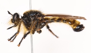  ( - KFUDip02023)  @11 [ ] Copyright (c) (2025) Heimburg H Unspecified